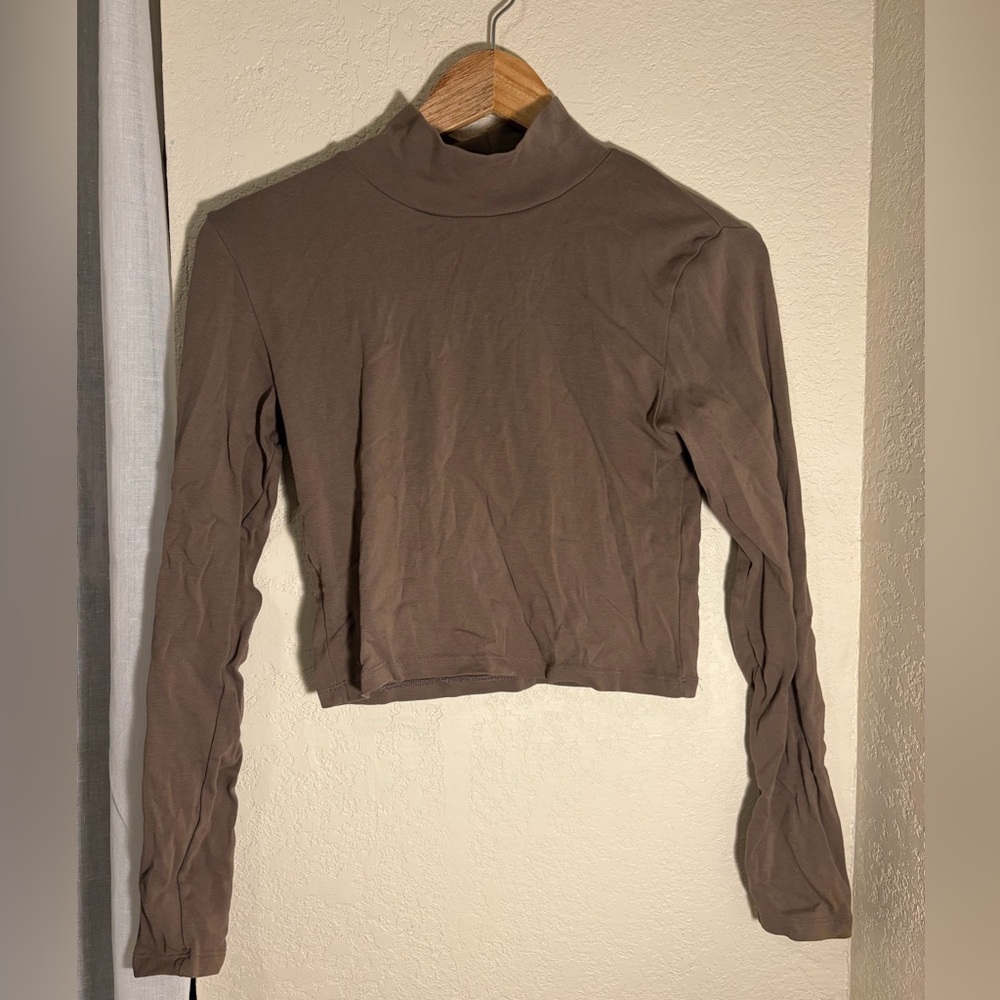 Zara Brown Crop Turtleneck